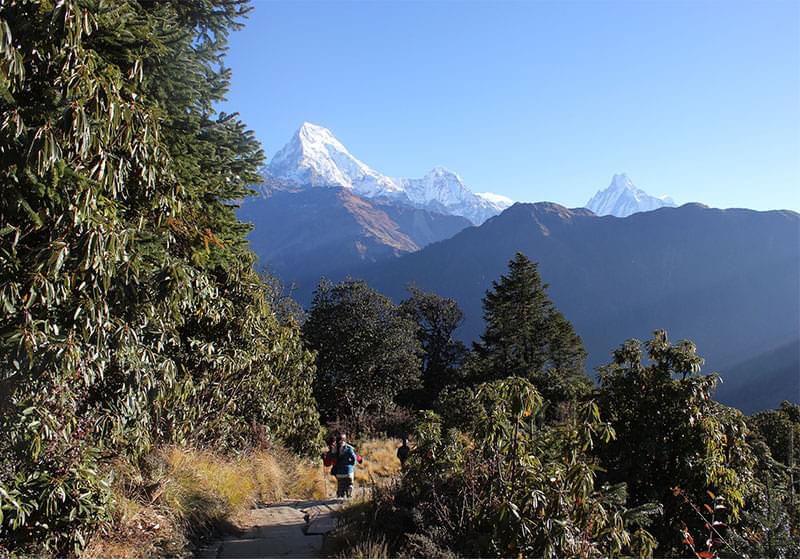 Tirkhedhunga to Poon Hill